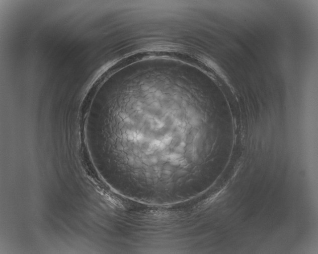 X0000060570829200511031307
