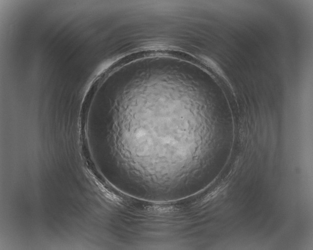 X0000060570831200511031307