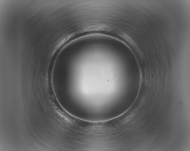 X0000060570834200511031307