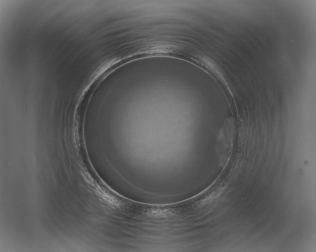 X0000060570835200511031307