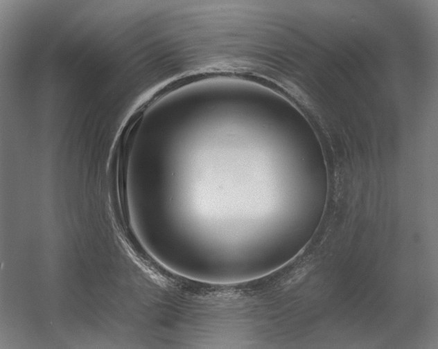 X0000060570838200511031307