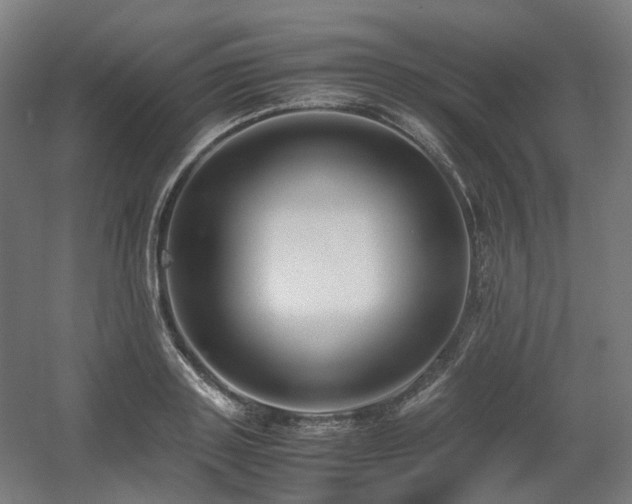 X0000060570843200511031307