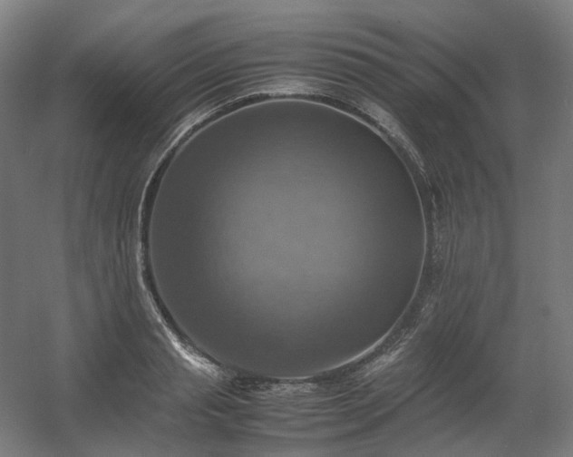 X0000060570845200511031307