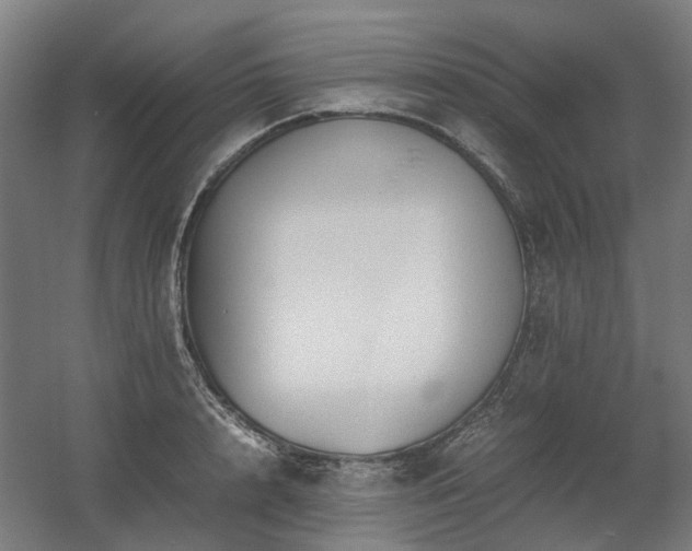 X0000060570848200511031307