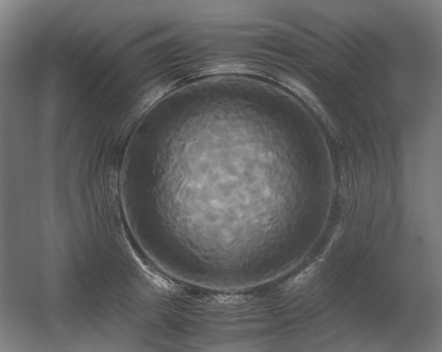 X0000060570849200511031307