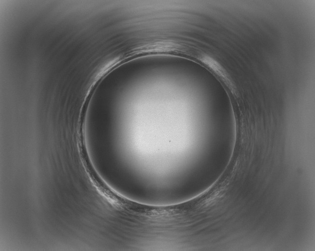 X0000060570850200511031307