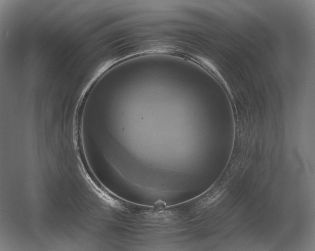 X0000060570851200511031307