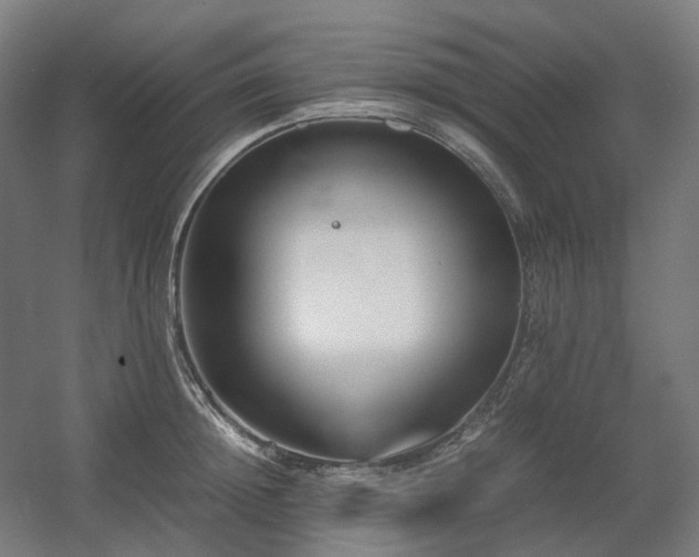 X0000060570852200511031307
