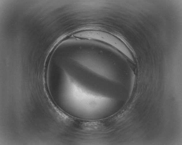 X0000060570853200511031307