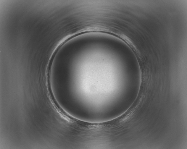 X0000060570854200511031307