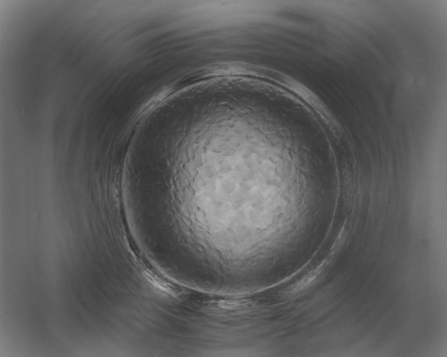 X0000060570857200511031307