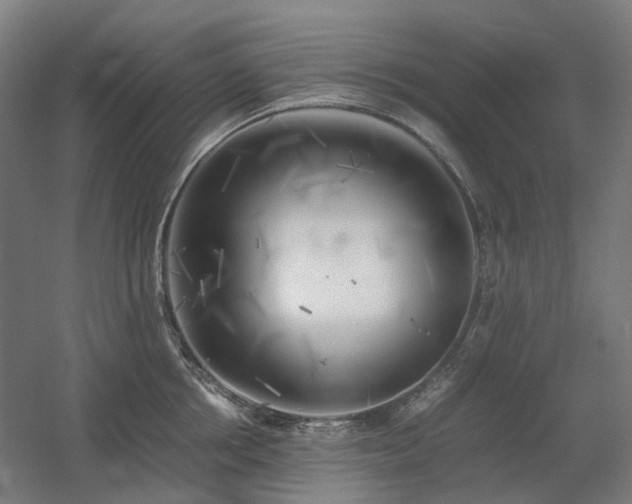 X0000060570858200511031307
