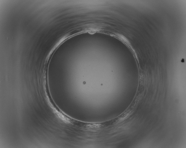 X0000060570859200511031307