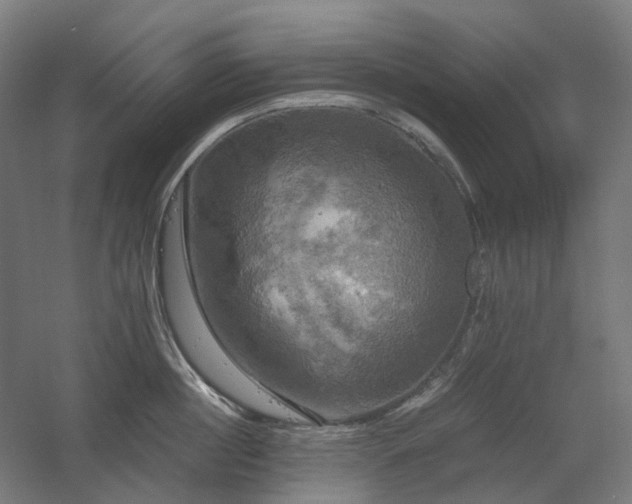 X0000060570860200511031307