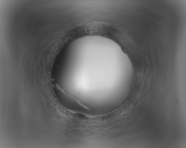 X0000060570865200511031307