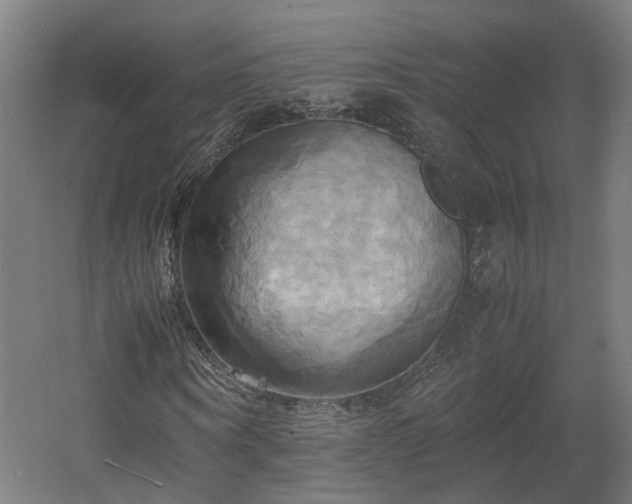 X0000060570866200511031307