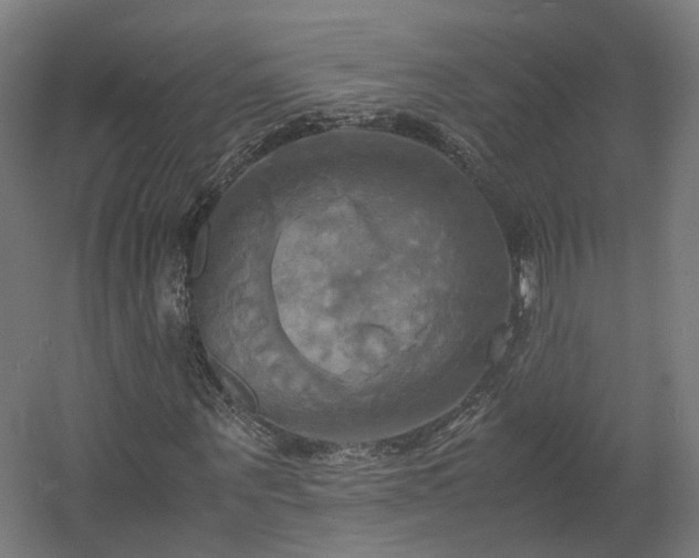 X0000060570867200511031307