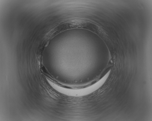X0000060570868200511031307