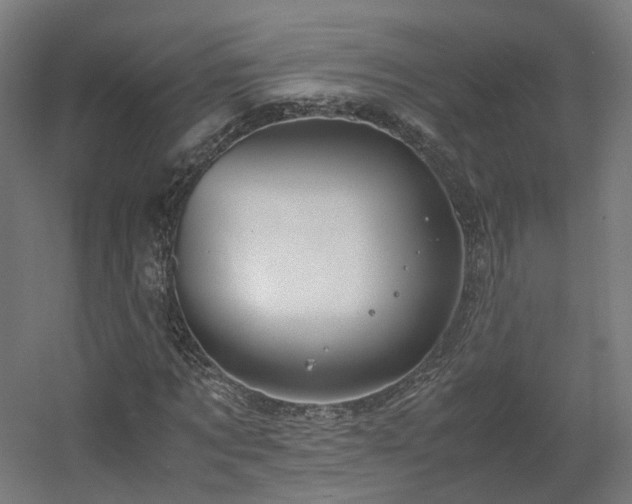X0000060570869200511031307