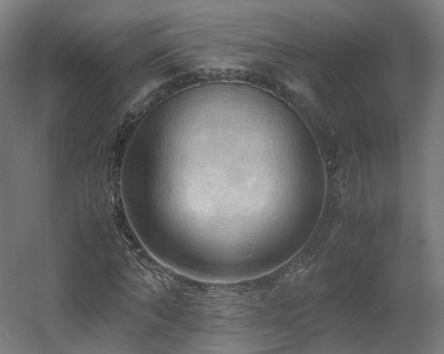 X0000060570870200511031307