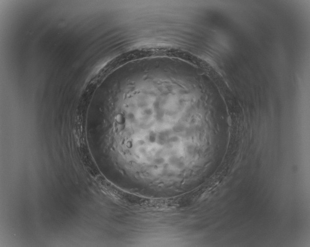 X0000060570871200511031307