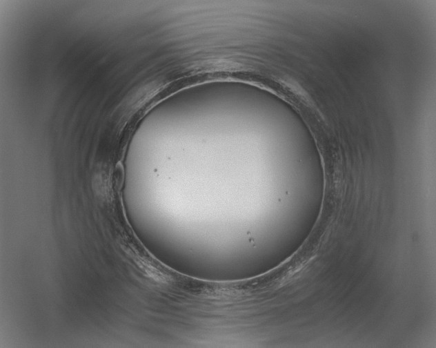 X0000060570873200511031307