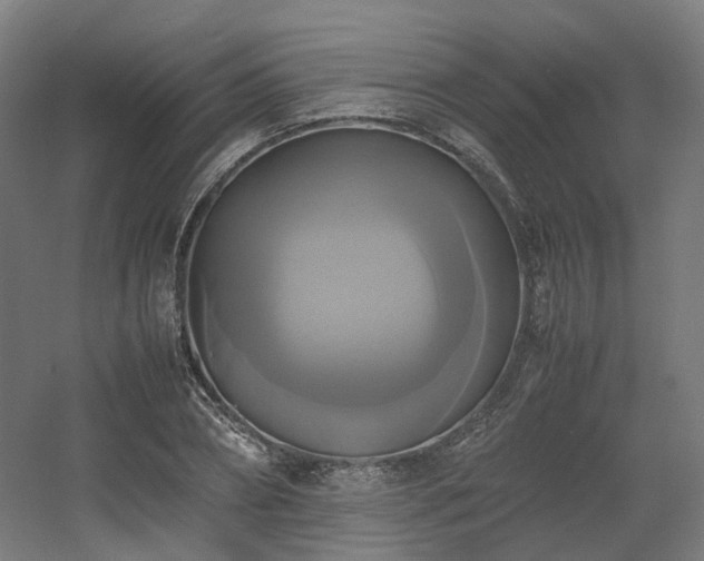 X0000060570882200511031306