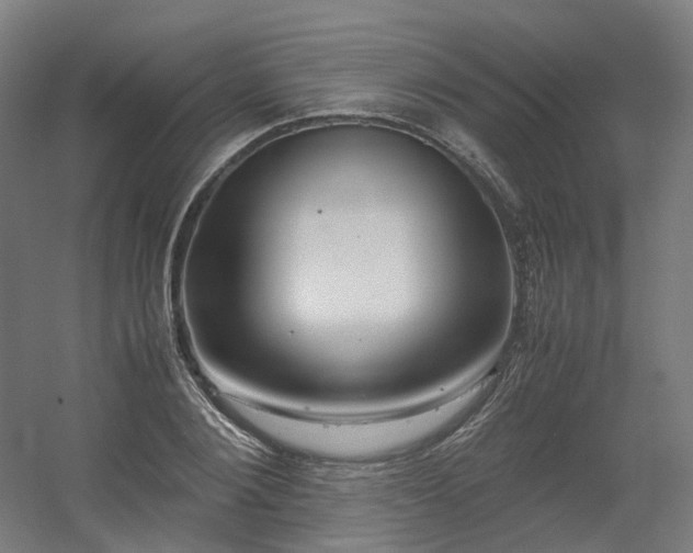 X0000060570884200511031306