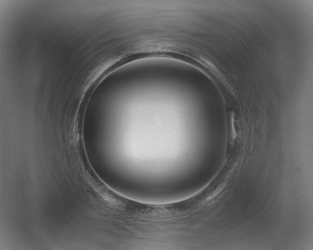 X0000060570885200511031306