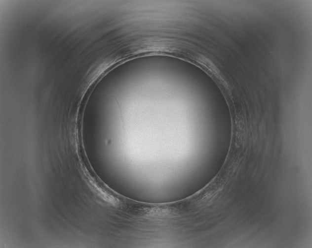 X0000060570890200511031306