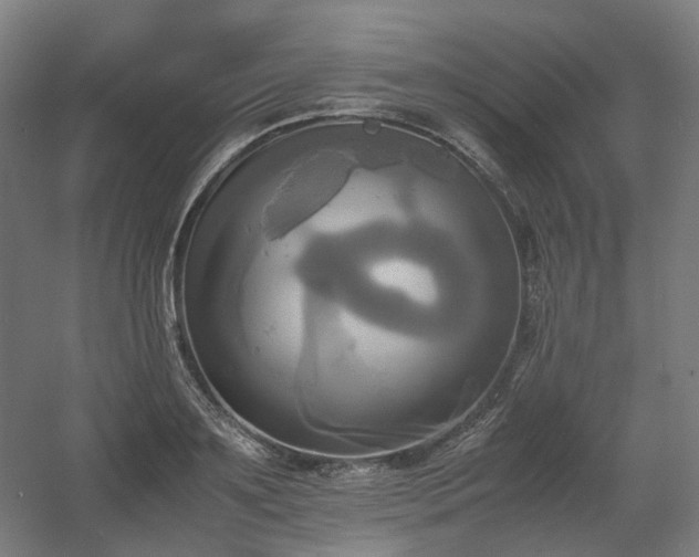 X0000060570891200511031306