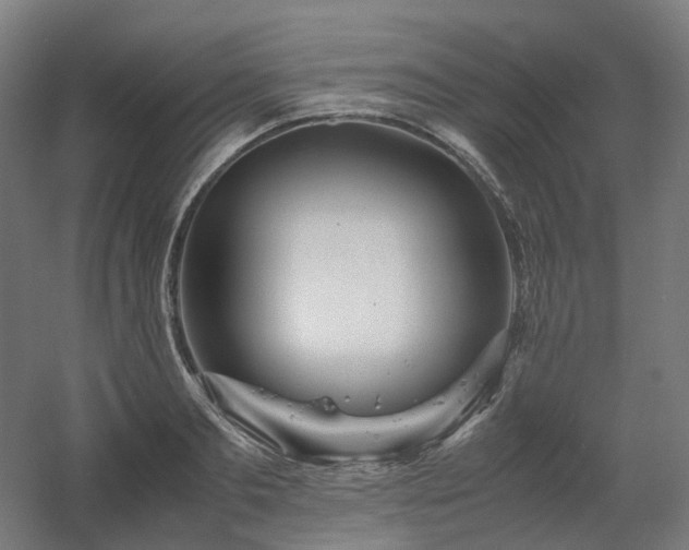 X0000060570893200511031306