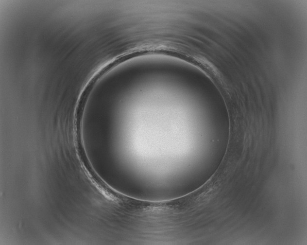 X0000060570894200511031306