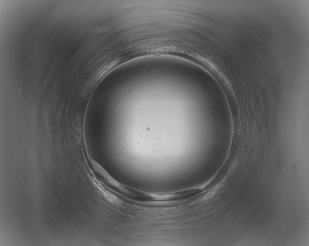 X0000060570897200511031306