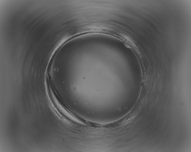 X0000060570899200511031306