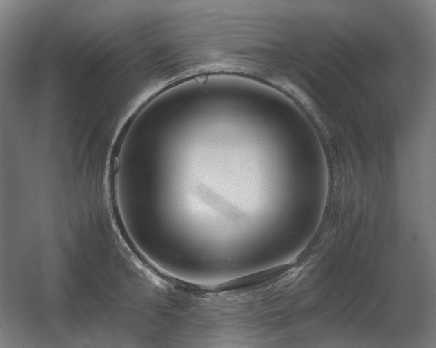 X0000060570902200511031306