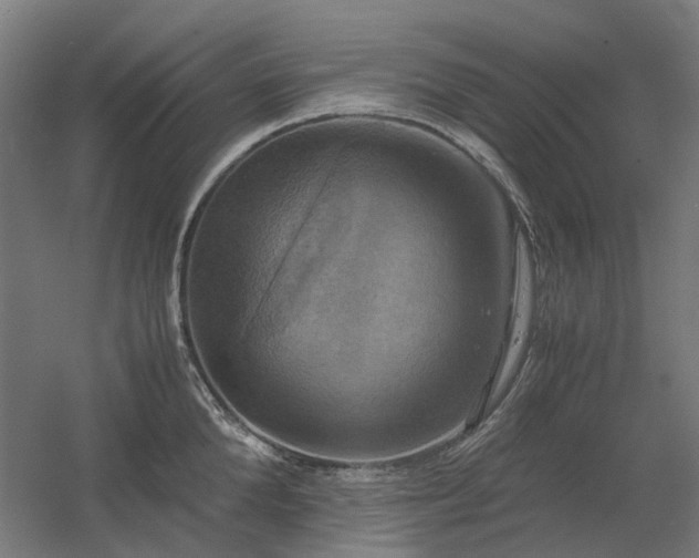 X0000060570904200511031306