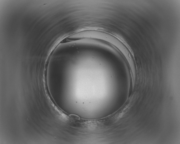 X0000060570906200511031306