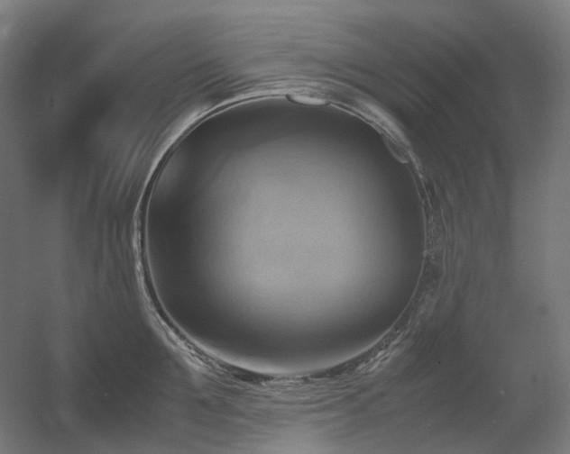 X0000060570907200511031306