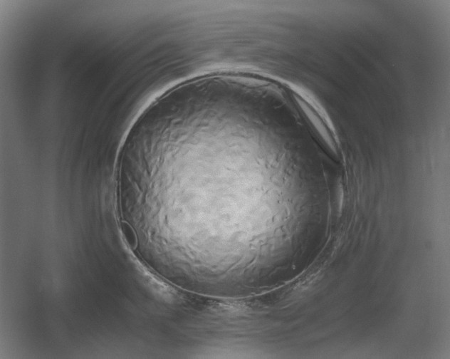 X0000060570911200511031306