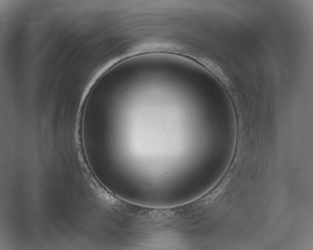 X0000060570912200511031306