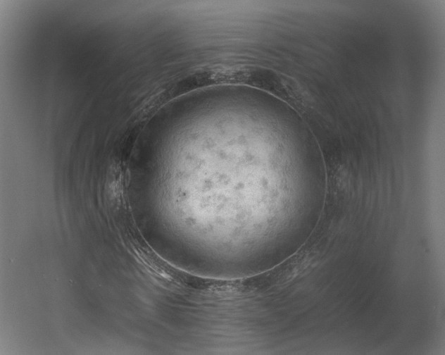 X0000060570914200511031305