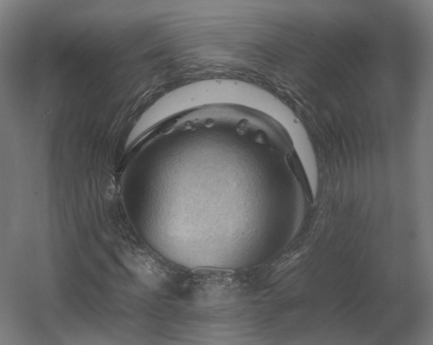 X0000060570916200511031305