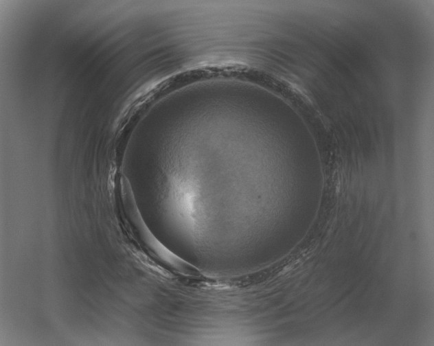 X0000060570920200511031305