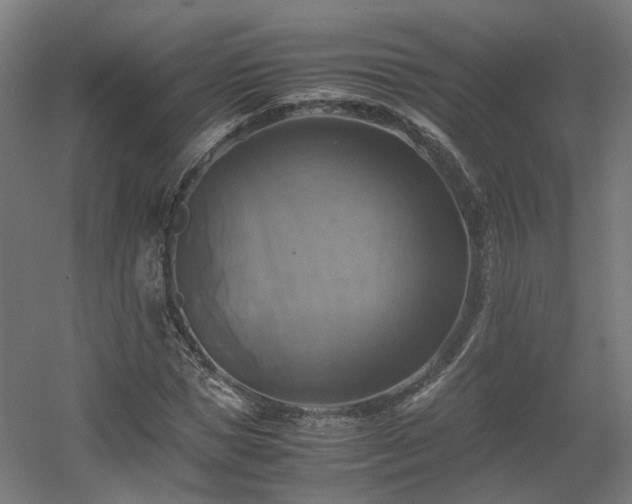 X0000060570921200511031305