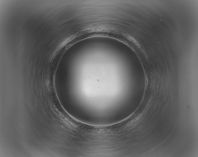 X0000060570922200511031305