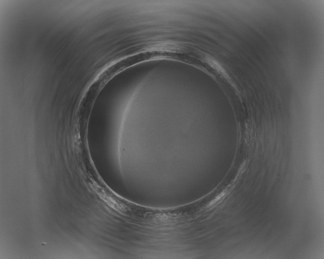 X0000060570923200511031305