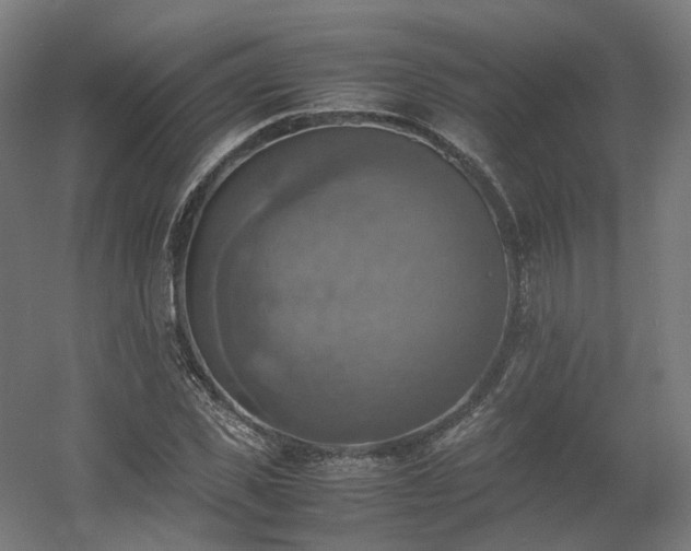 X0000060570925200511031305