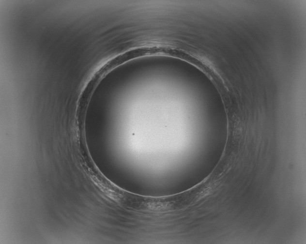 X0000060570927200511031305