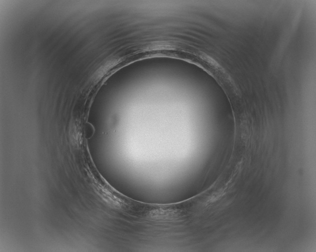 X0000060570929200511031305